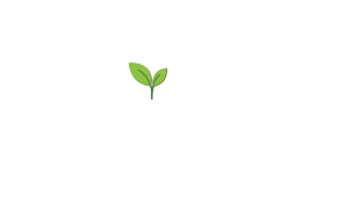 Hydroponics Farming in USA